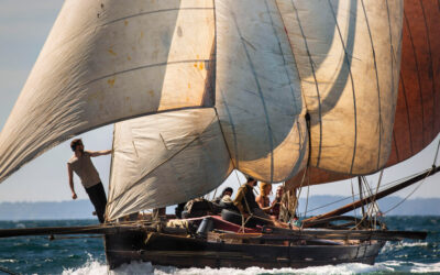 La rose et l&rsquo;hirondelle