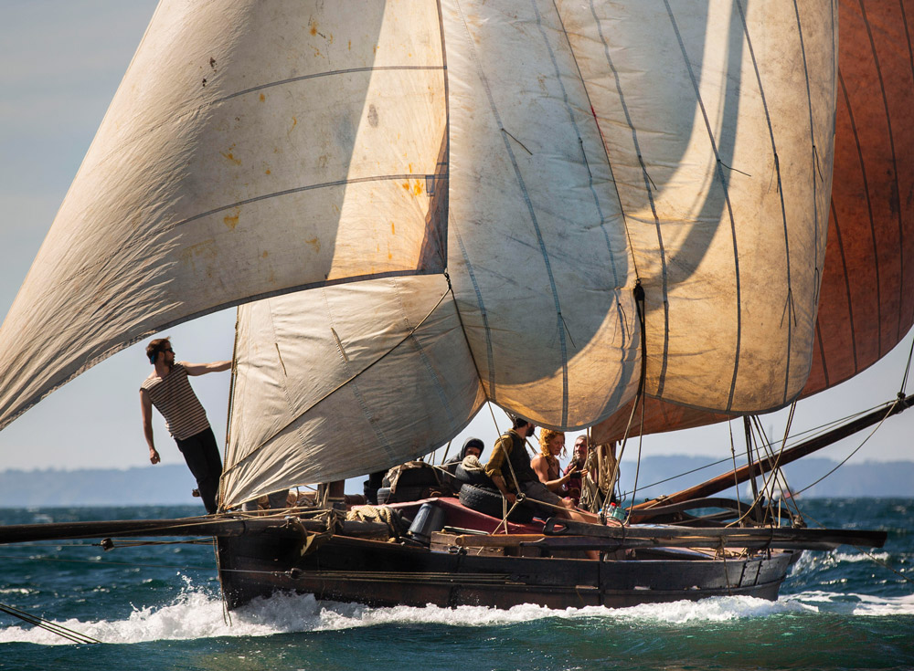 Illustration Swallow - La Rose et l'hirondelle, crédit photo Nedjma Berder